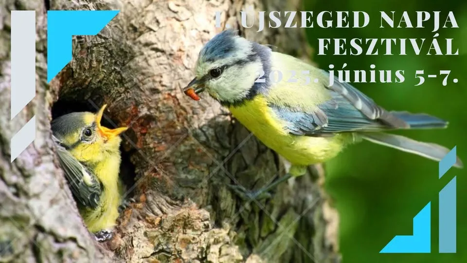 Az újszegedi Erzsébet-liget madárvilága